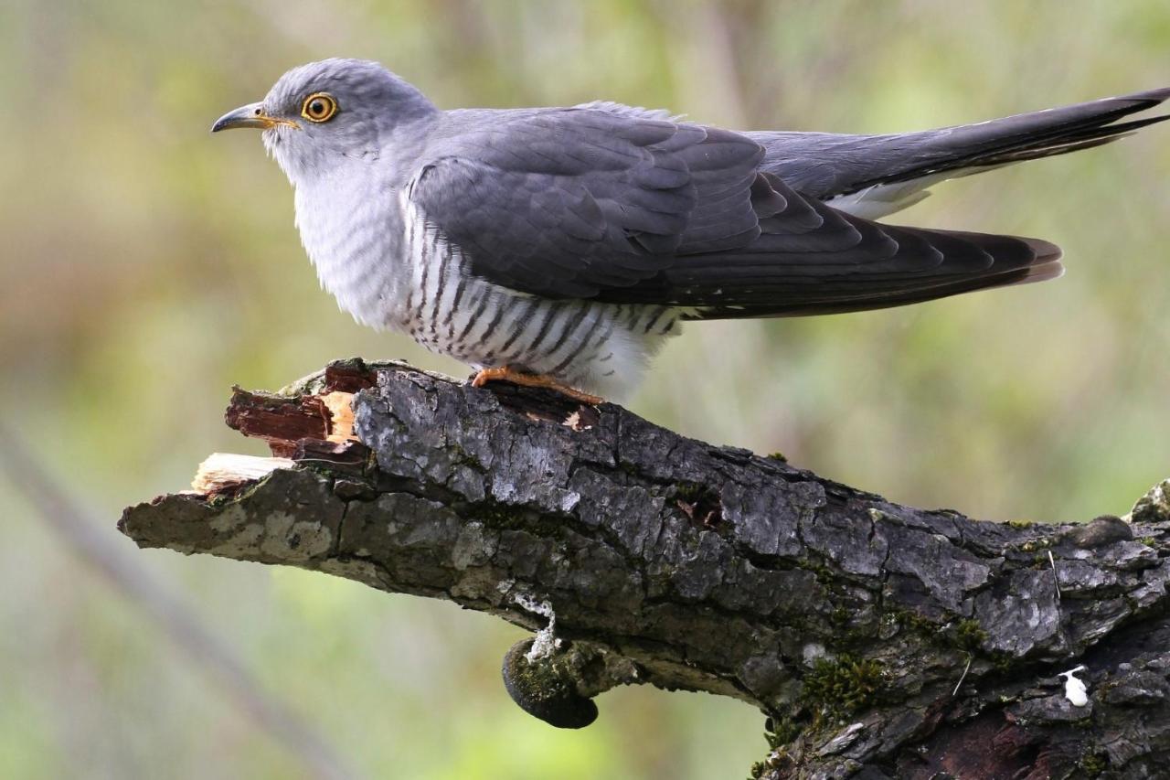 Fewo Im Naturschutzgebiet Hiddenhausen Luaran gambar