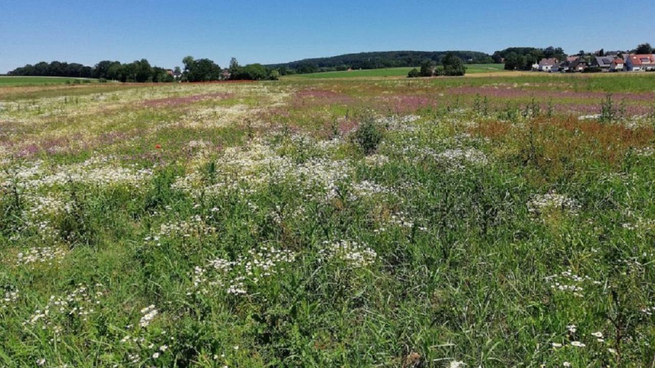 Fewo Im Naturschutzgebiet Hiddenhausen Luaran gambar